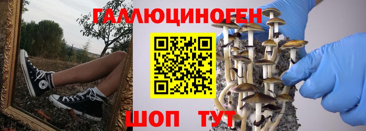 даркнет сайт  Вход с VPN  Галлюциногенные грибы Psilocybine cubensis  Лыткарино  Галлюциногенные грибы GOLDEN TEACHER 
